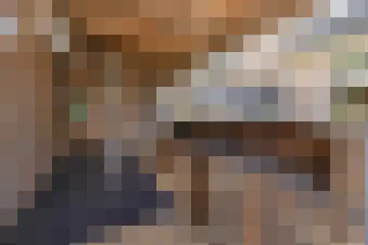 Hemelsblauw 35 Zoetermeer thumbnail 46