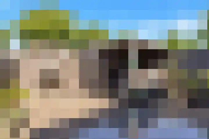Hemelsblauw 35 Zoetermeer thumbnail 47