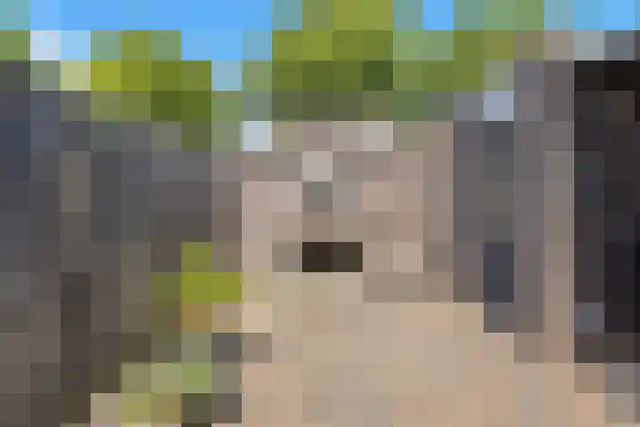 Hemelsblauw 35 Zoetermeer thumbnail 48