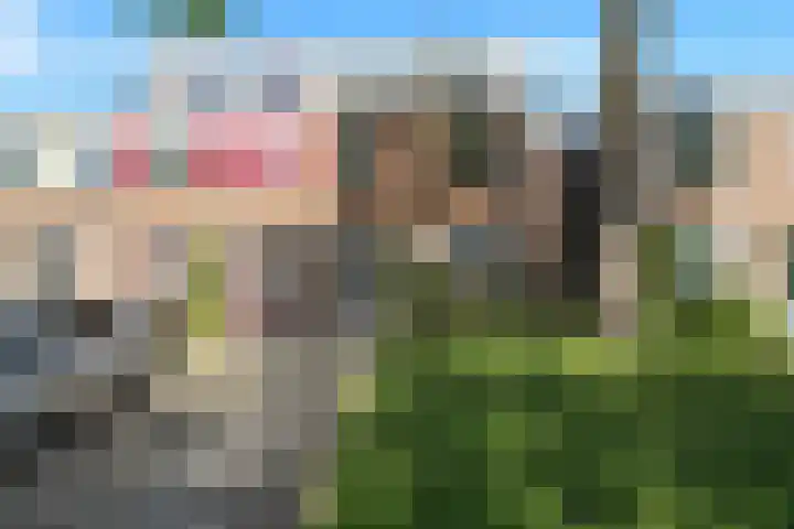 Hemelsblauw 35 Zoetermeer thumbnail 53