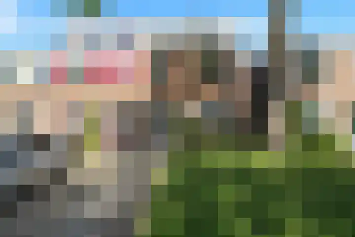 Hemelsblauw 35 Zoetermeer thumbnail 7