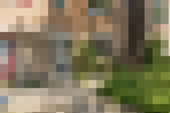 Hemelsblauw 35 Zoetermeer thumbnail 8