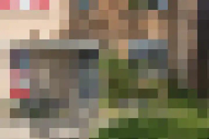 Hemelsblauw 35 Zoetermeer thumbnail 9