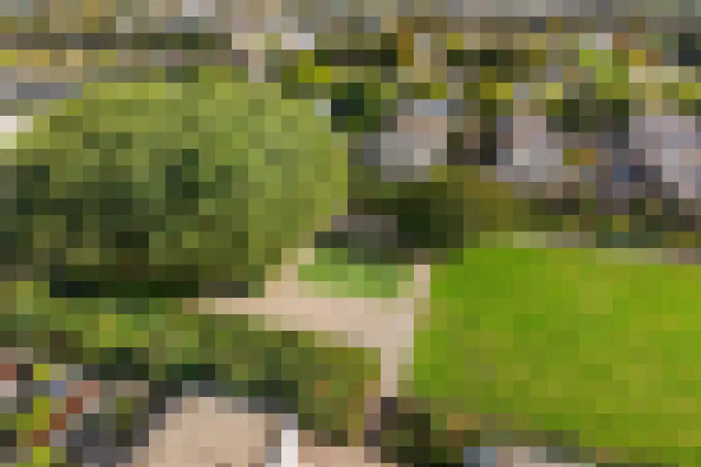 Hemelsblauw 38 Zoetermeer thumbnail 12