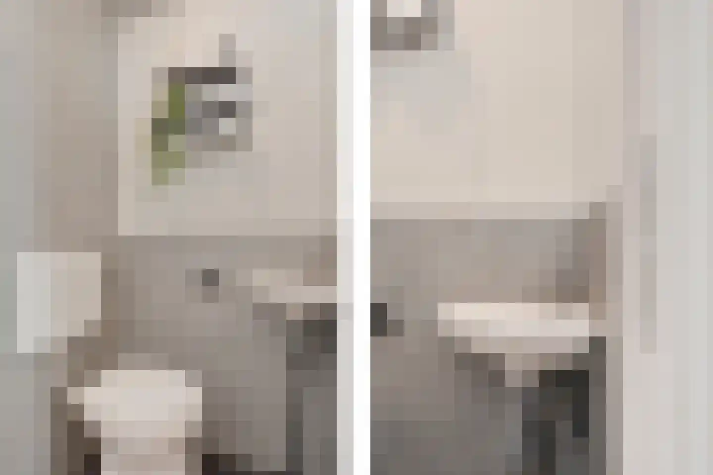Hemelsblauw 38 Zoetermeer thumbnail 37