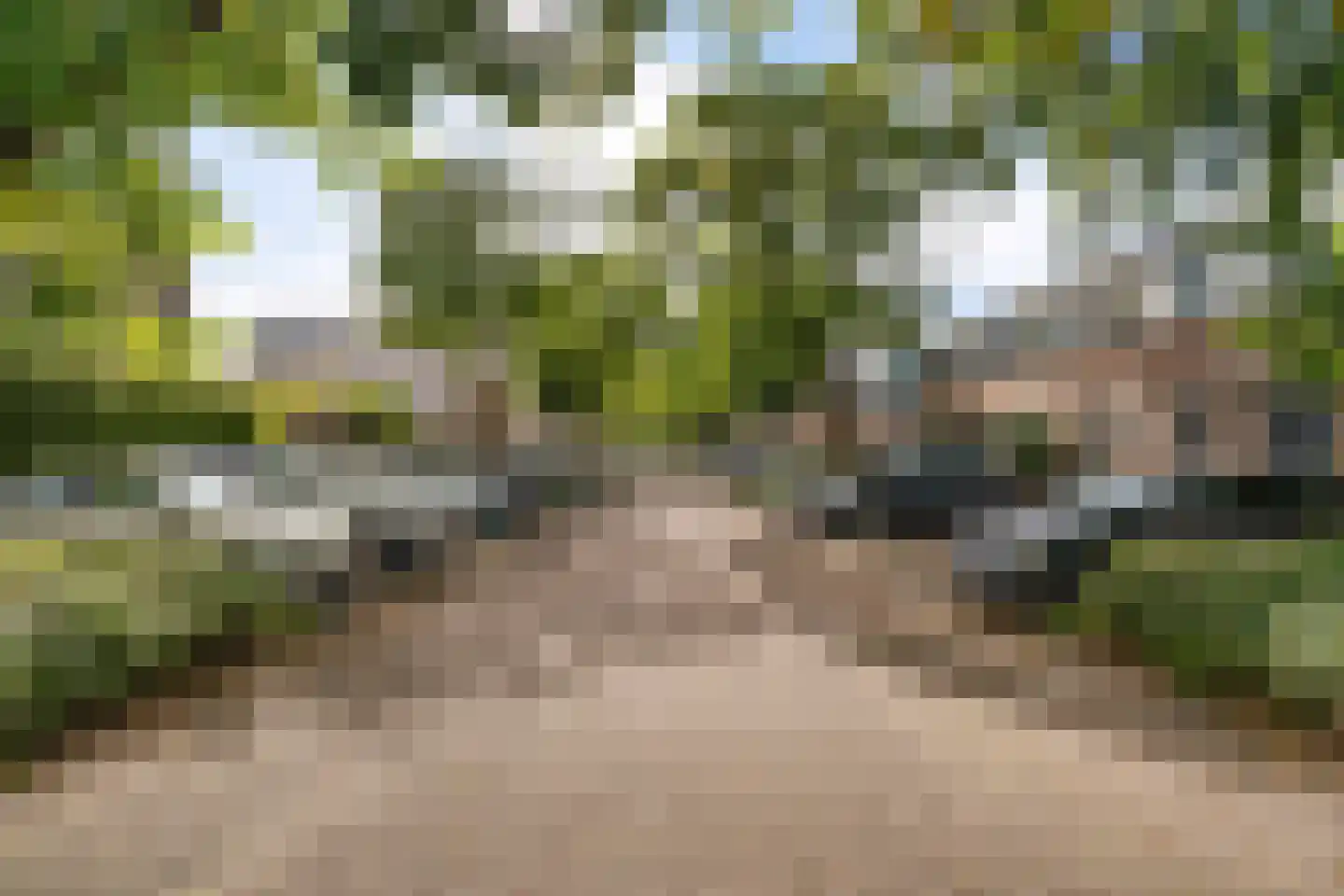 Hemelsblauw 38 Zoetermeer thumbnail 57