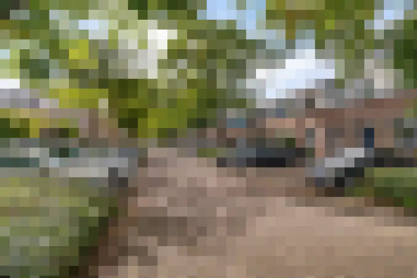 Hemelsblauw 38 Zoetermeer thumbnail 58