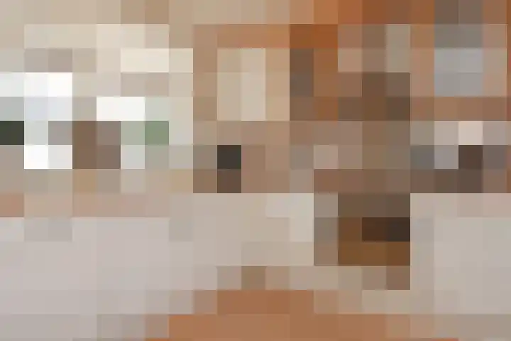 Hemelsblauw 47 Zoetermeer thumbnail 13