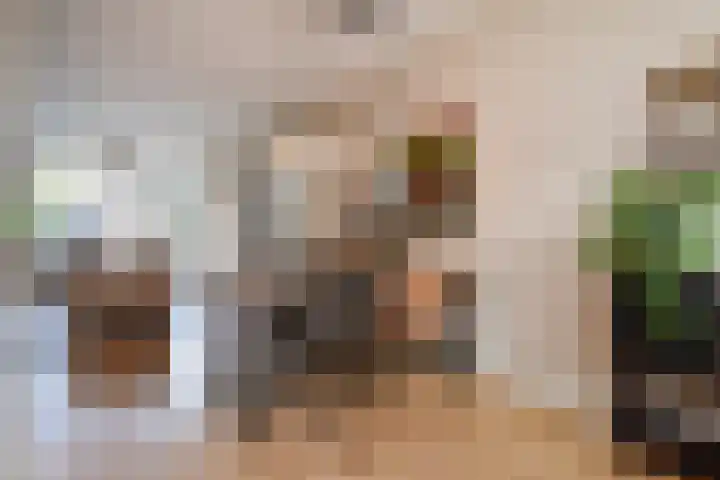 Hemelsblauw 47 Zoetermeer thumbnail 15