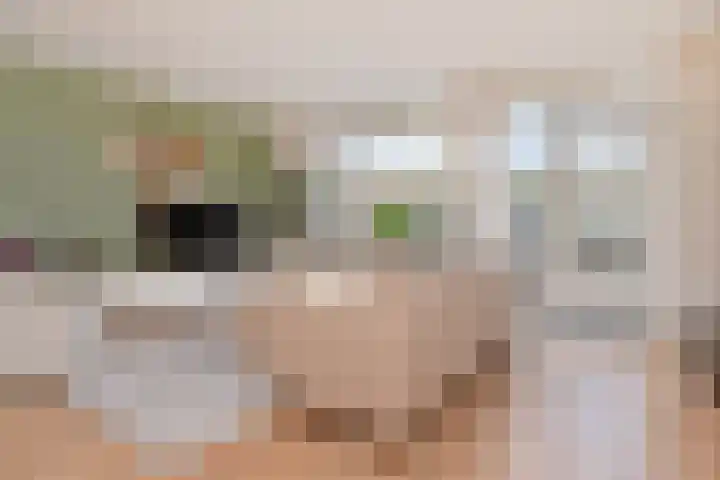 Hemelsblauw 47 Zoetermeer thumbnail 18