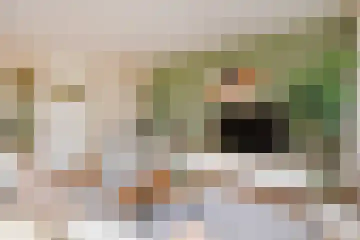 Hemelsblauw 47 Zoetermeer thumbnail 20