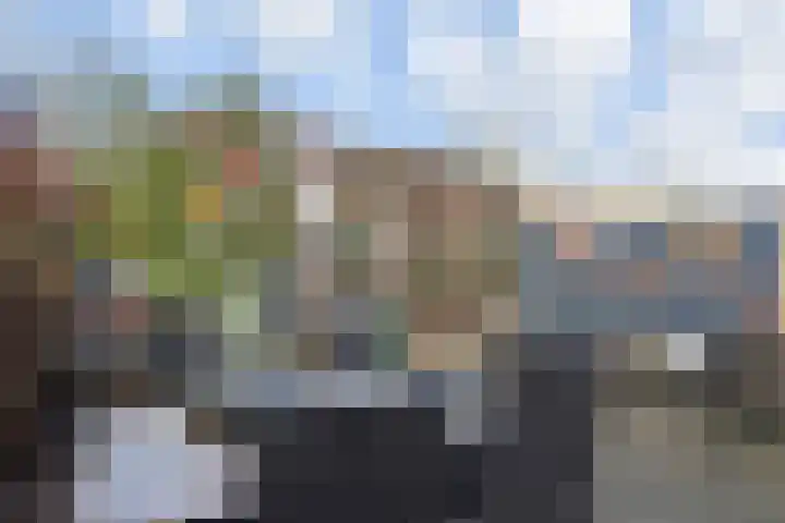 Hemelsblauw 47 Zoetermeer thumbnail 23