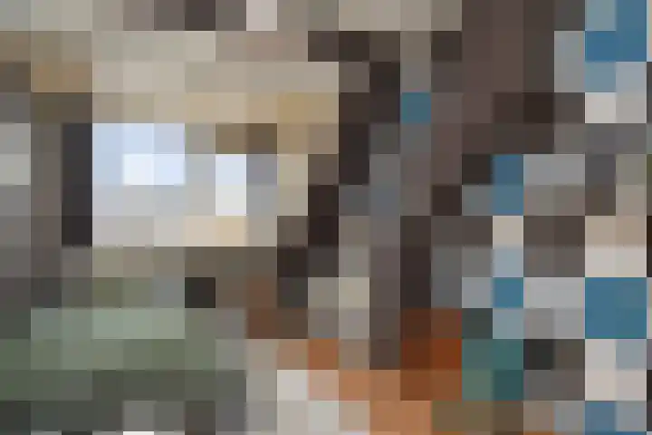 Hemelsblauw 47 Zoetermeer thumbnail 28