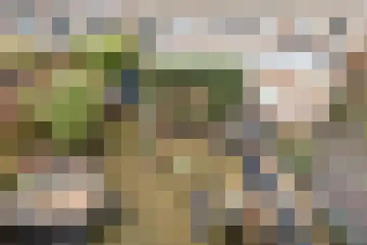 Hemelsblauw 47 Zoetermeer thumbnail 29