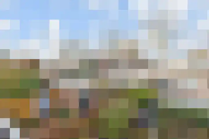 Hemelsblauw 47 Zoetermeer thumbnail 30