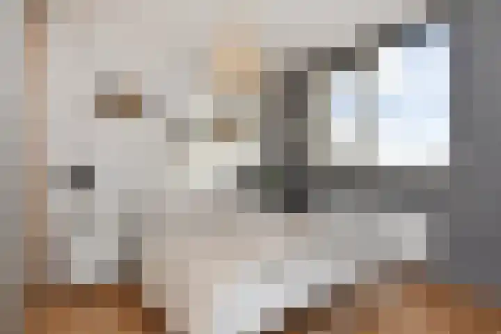Hemelsblauw 47 Zoetermeer thumbnail 31