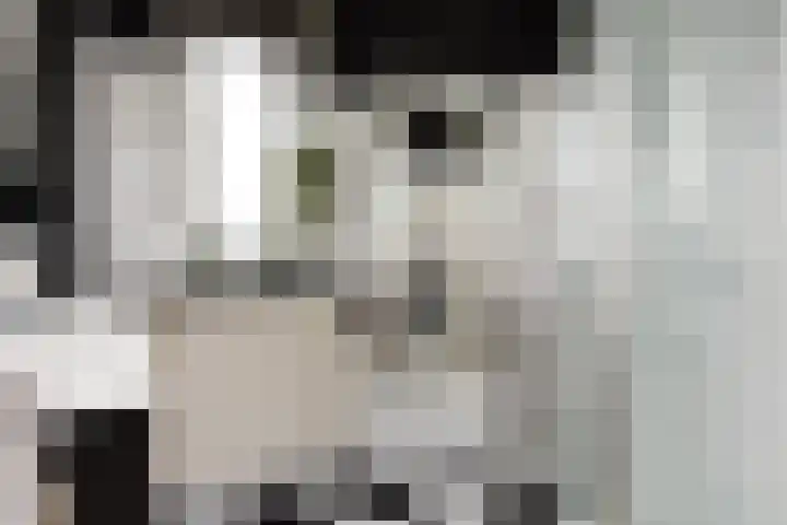 Hemelsblauw 47 Zoetermeer thumbnail 33