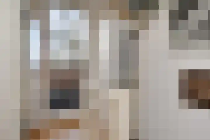 Hemelsblauw 47 Zoetermeer thumbnail 36