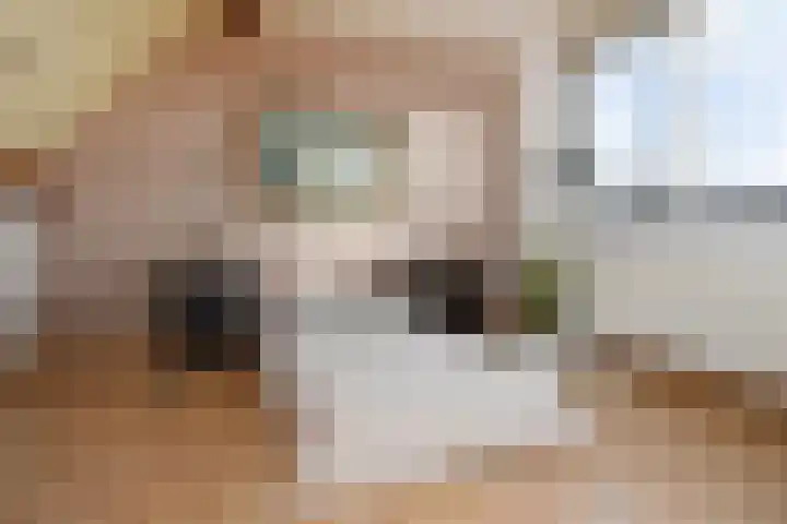 Hemelsblauw 47 Zoetermeer thumbnail 38