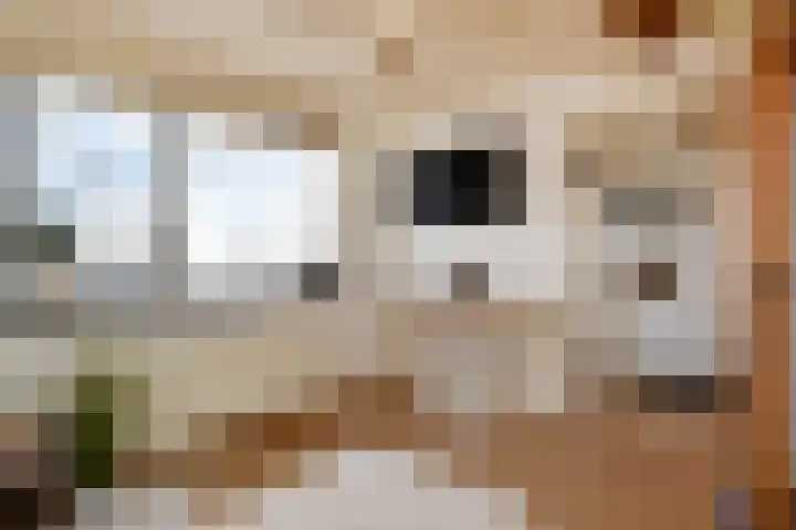 Hemelsblauw 47 Zoetermeer thumbnail 39