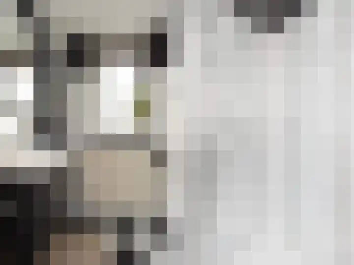 Hemelsblauw 47 Zoetermeer thumbnail 4