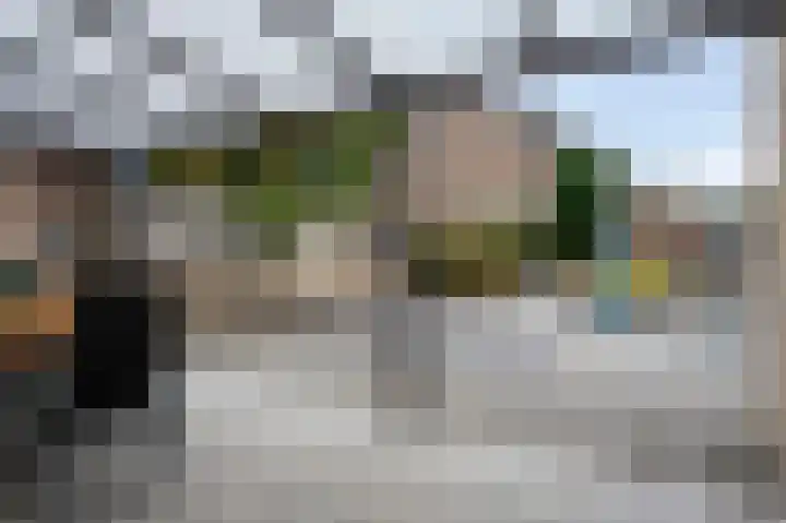 Hemelsley 262 Sittard thumbnail 14