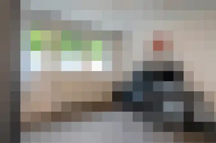 Hemelsley 262 Sittard thumbnail 30