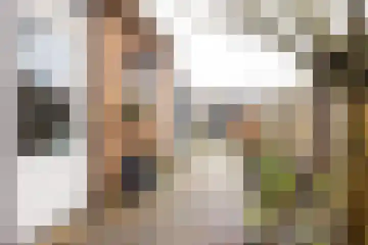 Hemelsley 97 Sittard thumbnail 30