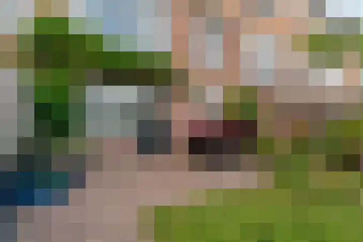 Hemeltje 17 Groesbeek thumbnail 59
