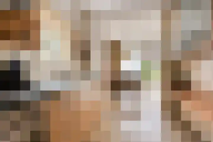 Hemeltjenskampweg 15 Diepenveen thumbnail 10