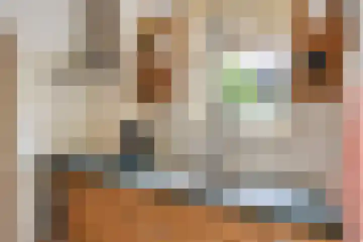Hemeltjenskampweg 15 Diepenveen thumbnail 11