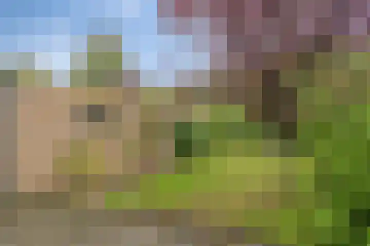 Hemeltjenskampweg 15 Diepenveen thumbnail 28