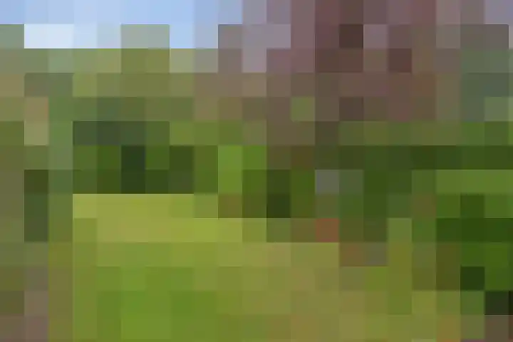 Hemeltjenskampweg 15 Diepenveen thumbnail 29