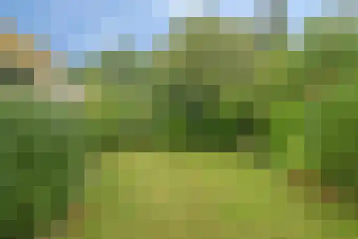 Hemeltjenskampweg 15 Diepenveen thumbnail 30