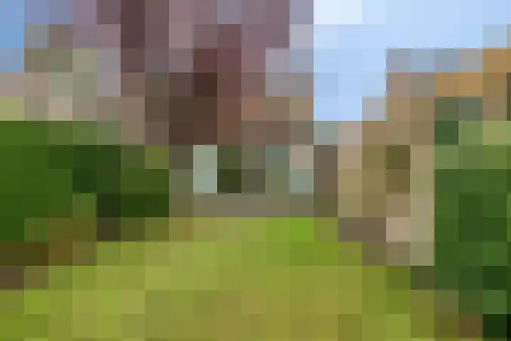 Hemeltjenskampweg 15 Diepenveen thumbnail 31