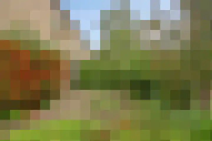 Hemeltjenskampweg 15 Diepenveen thumbnail 34