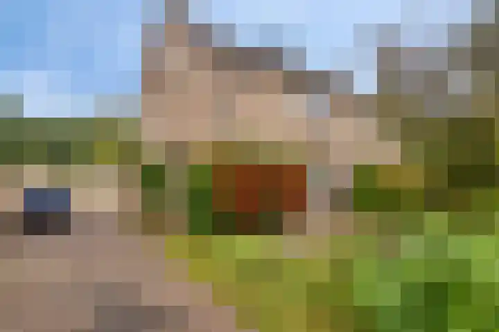 Hemeltjenskampweg 15 Diepenveen thumbnail 35