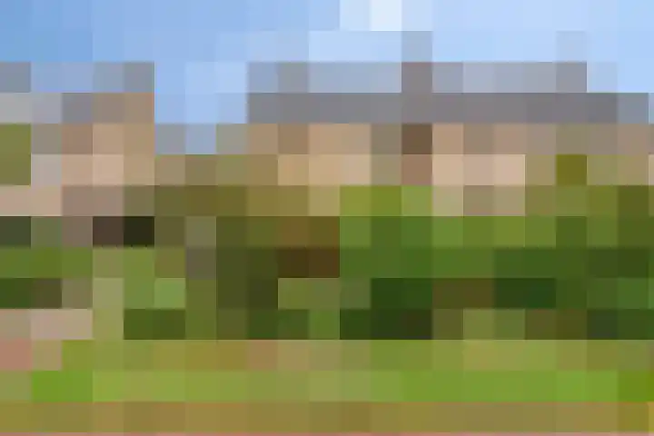 Hemeltjenskampweg 15 Diepenveen thumbnail 37