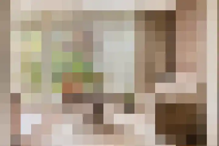 Hemeltjenskampweg 15 Diepenveen thumbnail 5