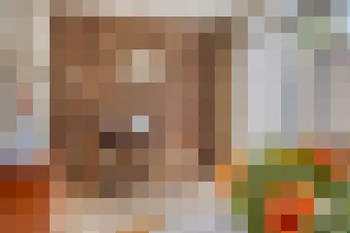 Hemeltjenskampweg 15 Diepenveen thumbnail 8