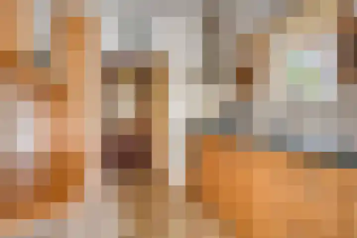 Hemeltjenskampweg 15 Diepenveen thumbnail 9
