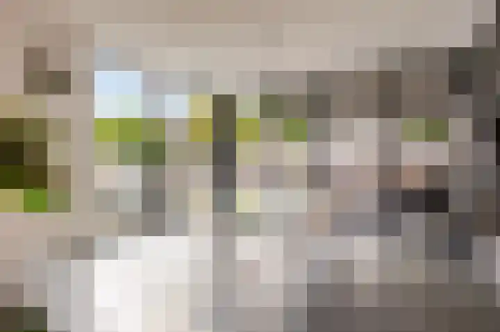 Hemelvuur 16 De Meern thumbnail 18
