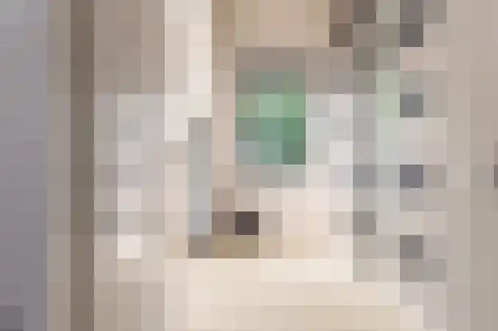 Hemelvuur 16 De Meern thumbnail 34