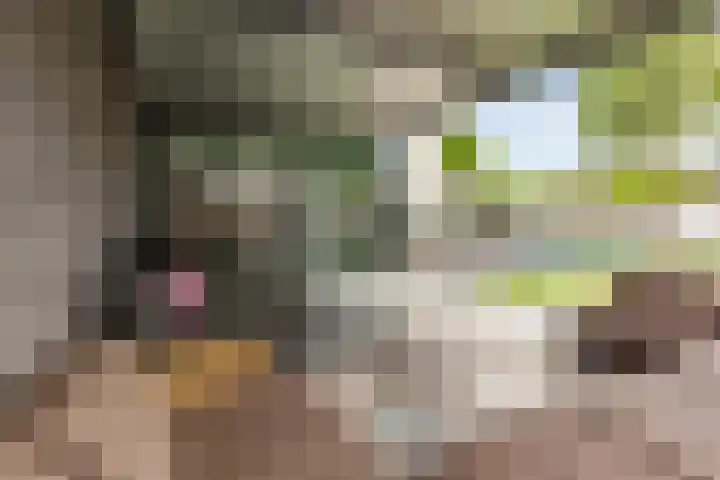 Hemelvuur 16 De Meern thumbnail 58