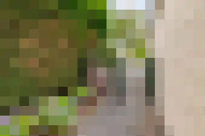 Hemelvuur 16 De Meern thumbnail 59