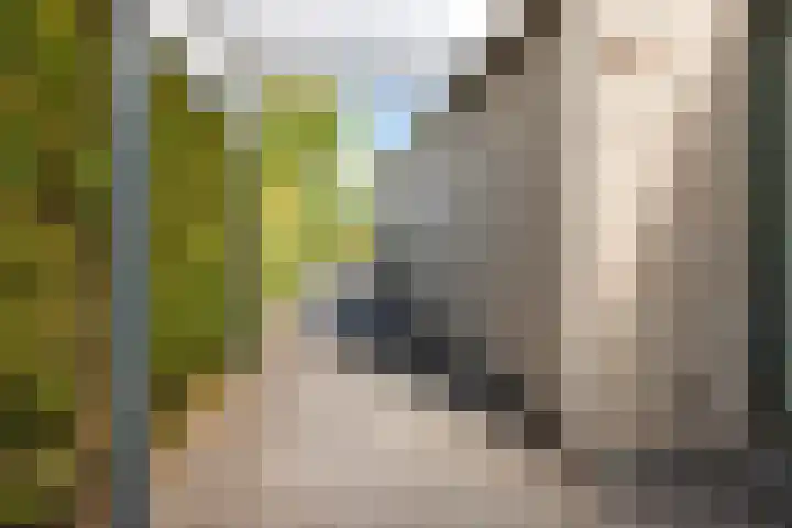 Hemelvuur 16 De Meern thumbnail 61
