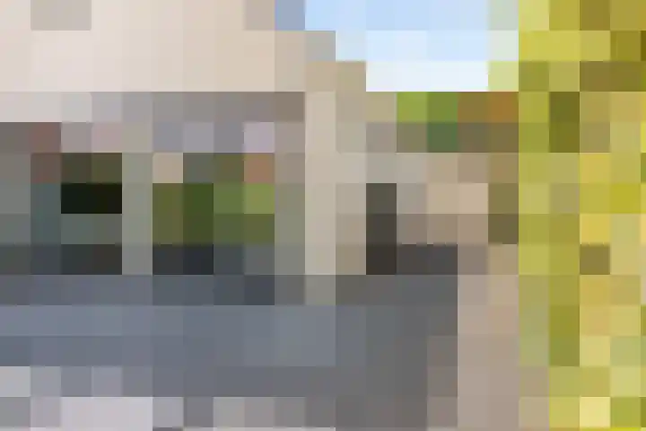 Hemelvuur 16 De Meern thumbnail 62