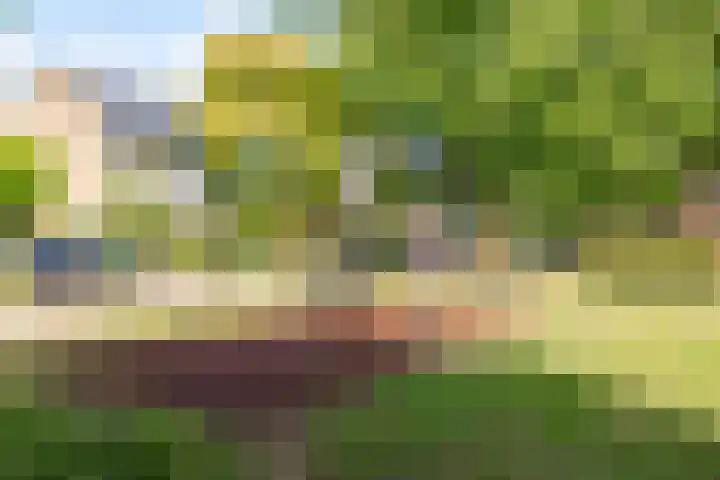 Hemelvuur 16 De Meern thumbnail 70