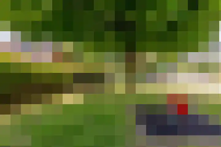 Hemelvuur 16 De Meern thumbnail 71