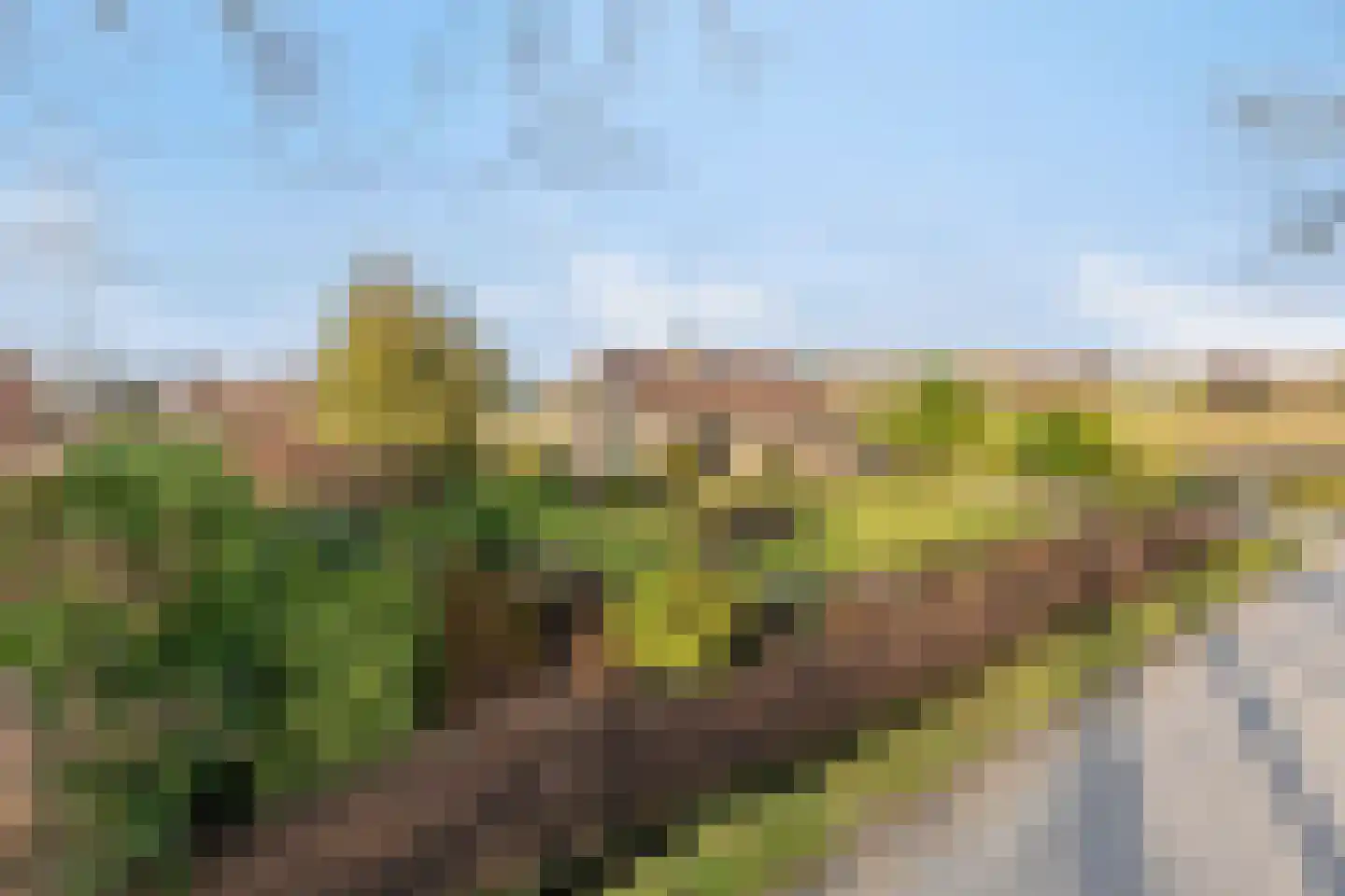 Hemelweg 1 Lepelstraat thumbnail 69